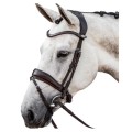 Bridles