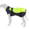 Dog Coats & Accessories